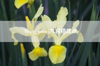任丘九宫格优点