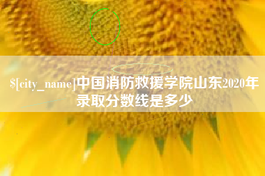 任丘中国消防救援学院山东2020年录取分数线是多少
