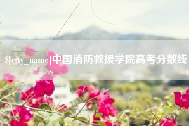任丘中国消防救援学院高考分数线