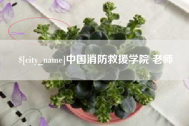 任丘中国消防救援学院 老师