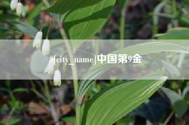 任丘中国第9金
