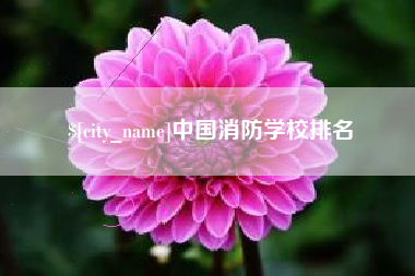 任丘中国消防学校排名
