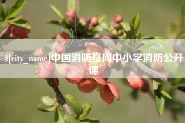 任丘中国消防官网中小学消防公开课