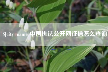 任丘中国执法公开网征信怎么查询