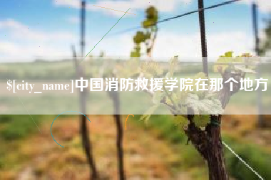 任丘中国消防救援学院在那个地方