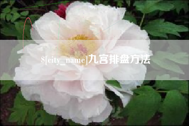 任丘九宫排盘方法