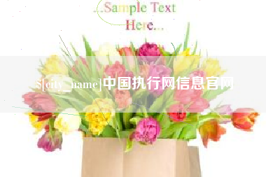 任丘中国执行网信息官网