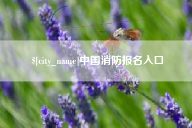 任丘中国消防报名入口