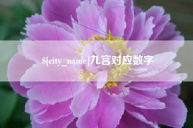 任丘九宫对应数字
