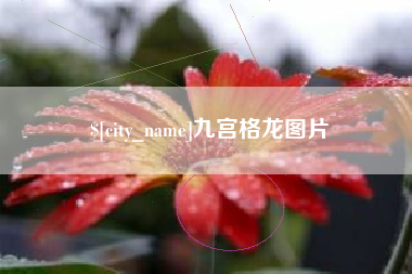 任丘九宫格龙图片
