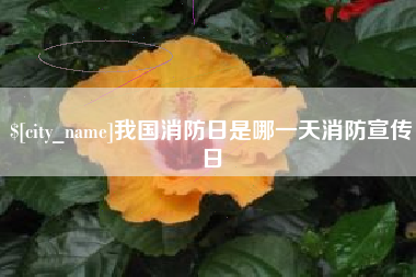 任丘我国消防日是哪一天消防宣传日
