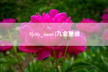 任丘九金是谁