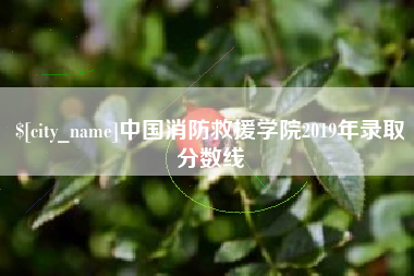 任丘中国消防救援学院2019年录取分数线