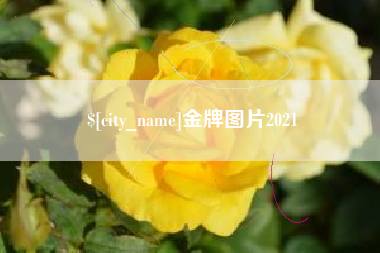 任丘金牌图片2021