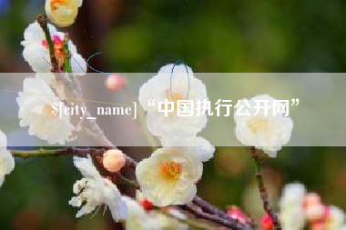 任丘“中国执行公开网”