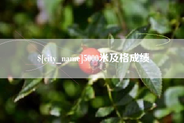 任丘5000米及格成绩
