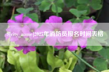 任丘2025年消防员报名时间表格
