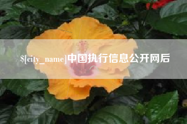 任丘中国执行信息公开网后