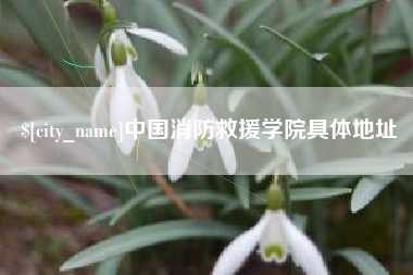 任丘中国消防救援学院具体地址