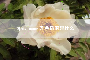 任丘九金指的是什么