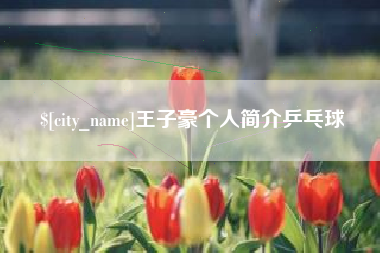 任丘王子豪个人简介乒乓球