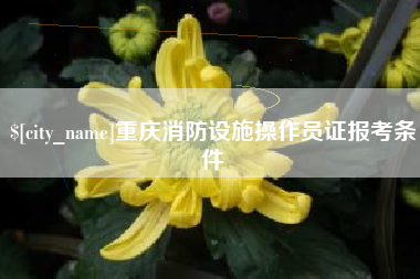 任丘重庆消防设施操作员证报考条件