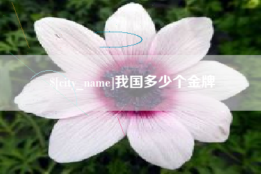任丘我国多少个金牌
