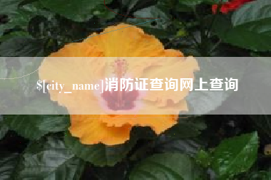 任丘消防证查询网上查询
