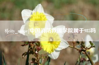 任丘中国消防救援学院属于985吗