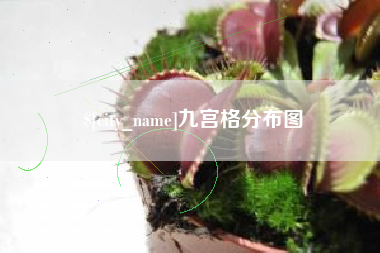 任丘九宫格分布图