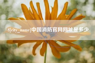 任丘中国消防官网网址是多少