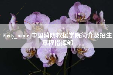 任丘中国消防救援学院简介及招生章程指挥部