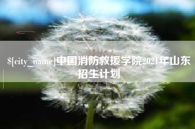 任丘中国消防救援学院2021年山东招生计划