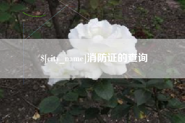 任丘消防证的查询
