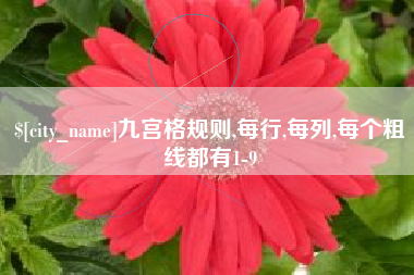 任丘九宫格规则,每行,每列,每个粗线都有1-9