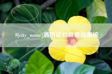 任丘消防证初级查询系统