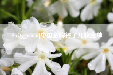 任丘中国金牌得了几枚金牌