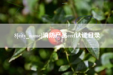 任丘消防产品cccf认证目录