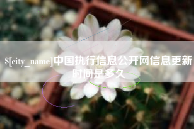 任丘中国执行信息公开网信息更新时间是多久