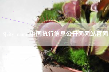 任丘中国执行信息公开网网站官网