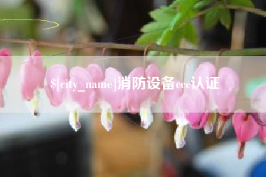 任丘消防设备ccc认证