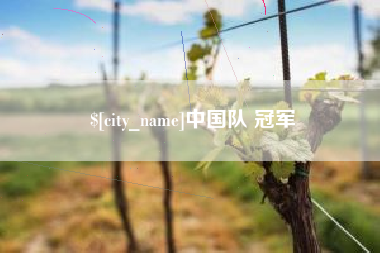 任丘中国队 冠军