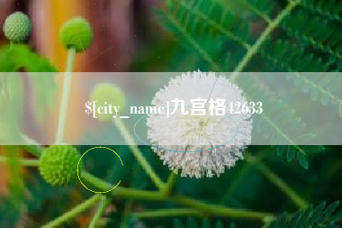 任丘九宫格42633