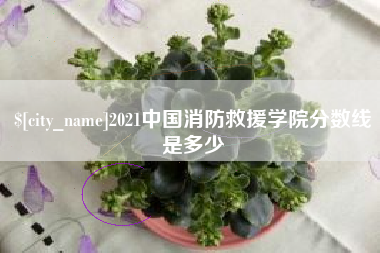 任丘2021中国消防救援学院分数线是多少