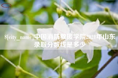 任丘中国消防救援学院2021年山东录取分数线是多少