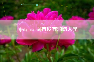 任丘有没有消防大学