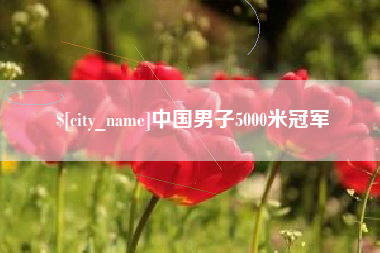 任丘中国男子5000米冠军