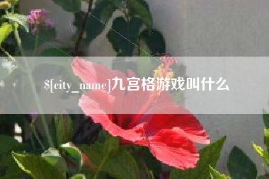 任丘九宫格游戏叫什么