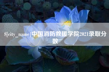 任丘中国消防救援学院2021录取分数