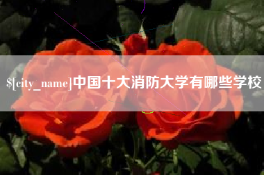 任丘中国十大消防大学有哪些学校